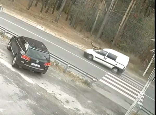 Под Киевом авто сбило 9-летнюю девочку: видео аварии